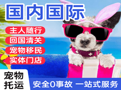 桂林机场物流国际宠物托运 【国